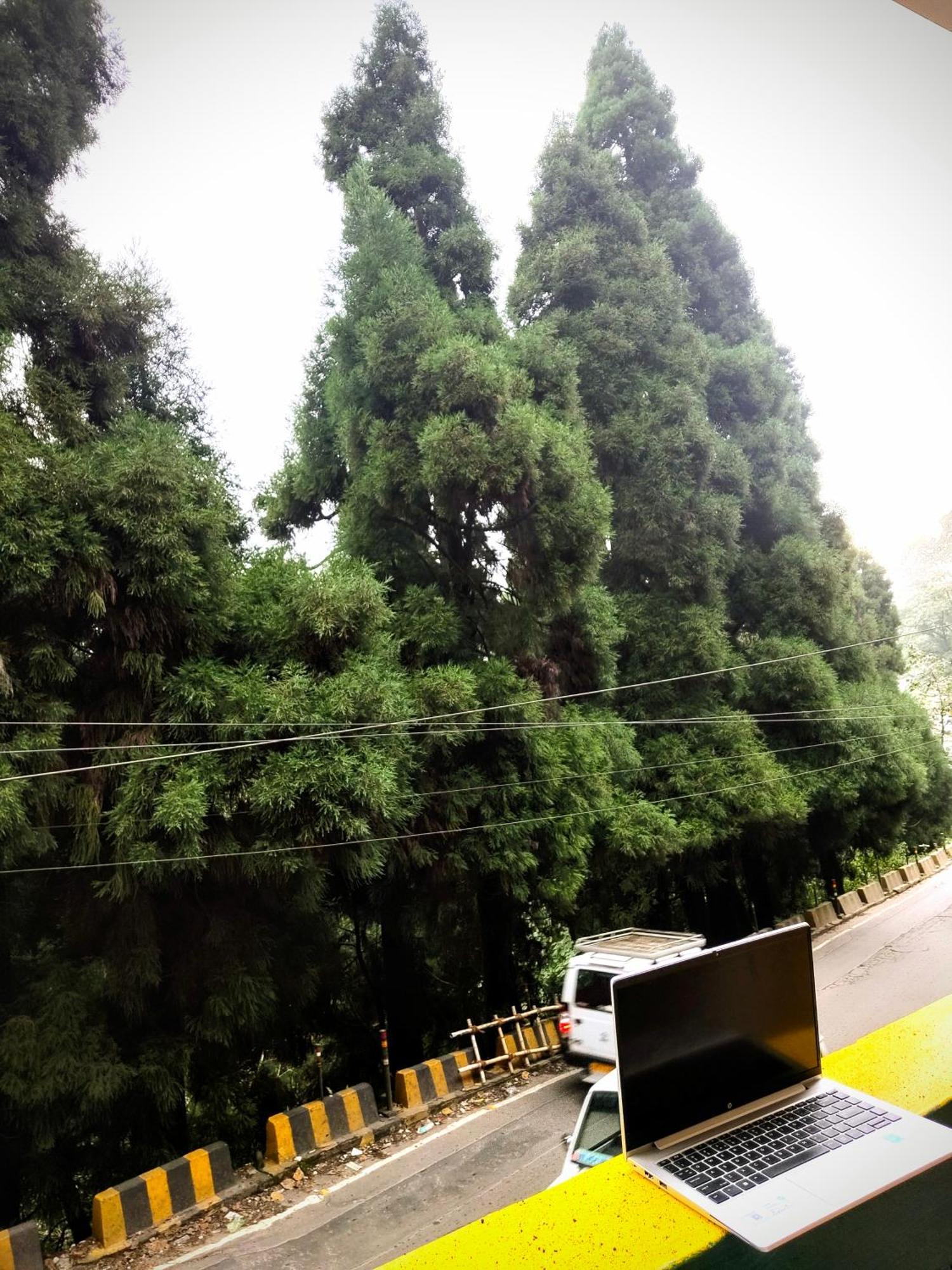 דרג'ילינג Hidden Monkey Backpackers Darjeeling, Batasia מראה חיצוני תמונה