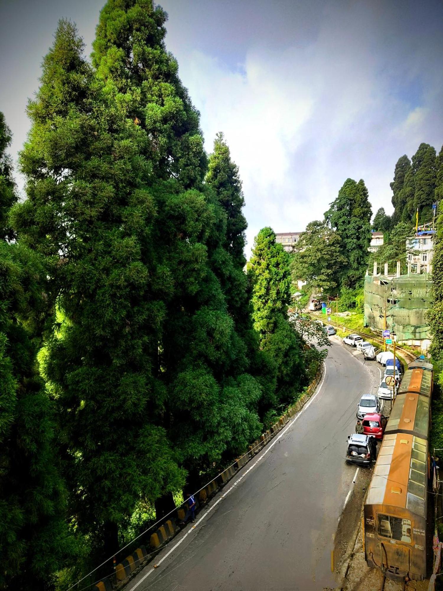 דרג'ילינג Hidden Monkey Backpackers Darjeeling, Batasia מראה חיצוני תמונה