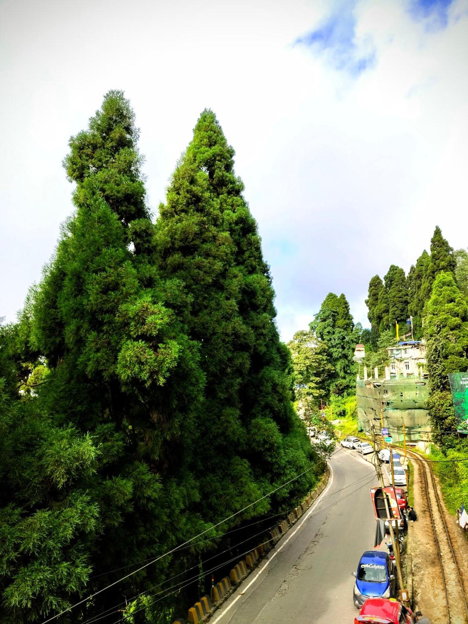 דרג'ילינג Hidden Monkey Backpackers Darjeeling, Batasia מראה חיצוני תמונה